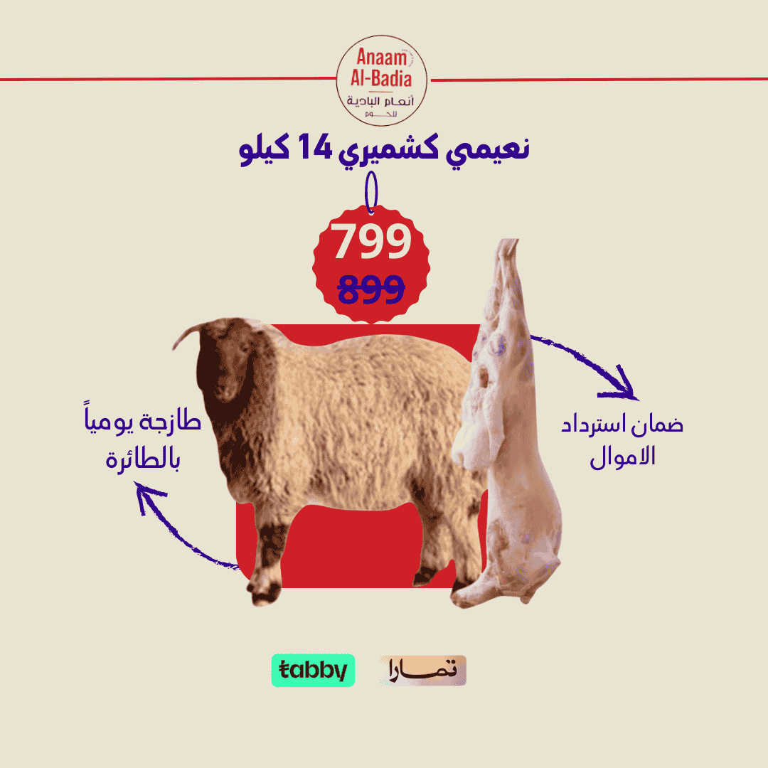 خروف كشميري جذع وزن 14 كيلو