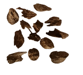 Oud Kalimantan Super