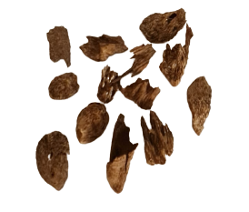 Oud Kalimantan Super