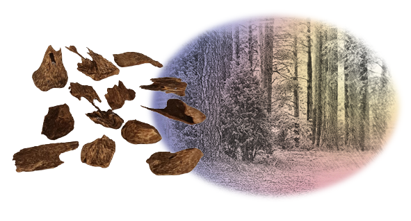 Oud Kalimantan Super