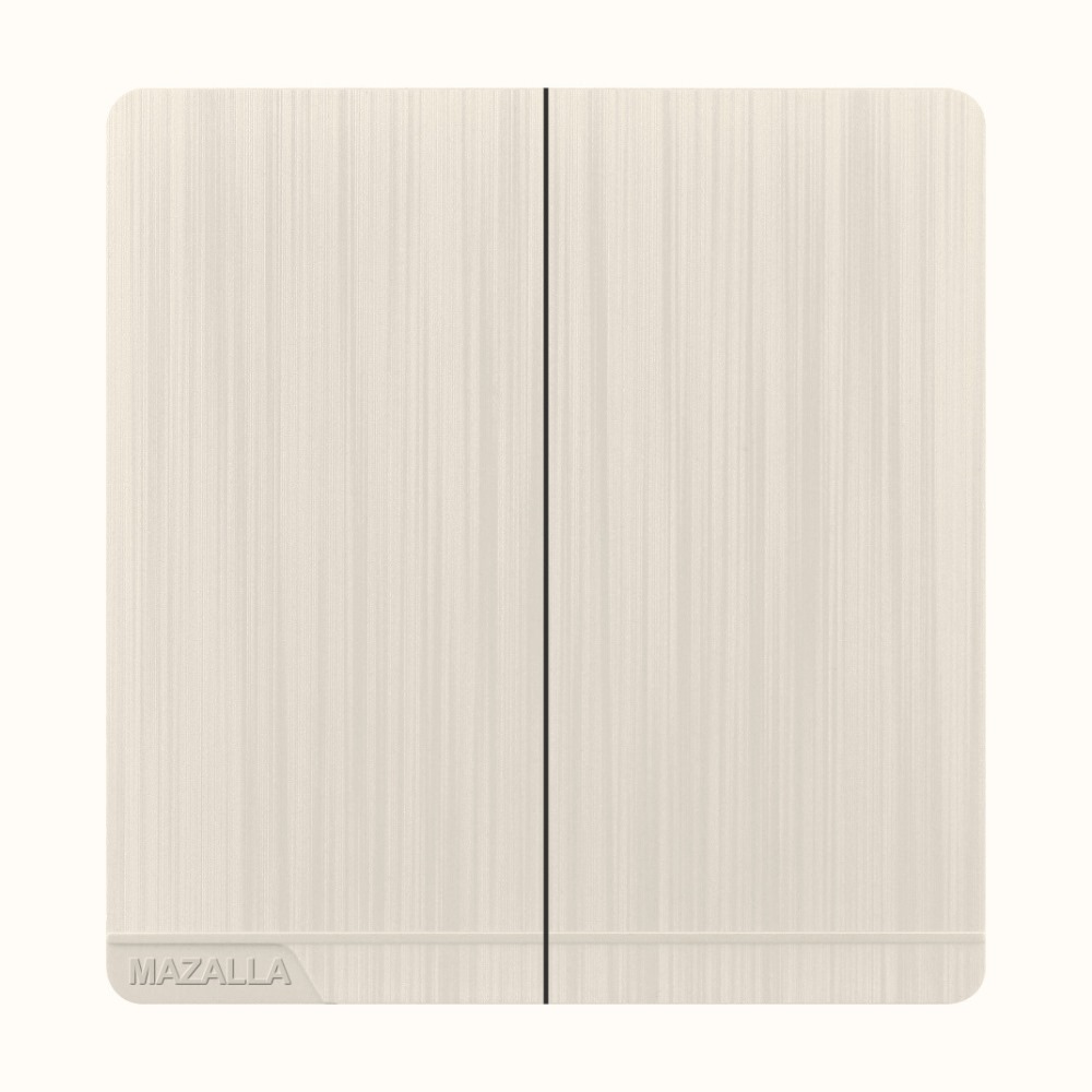double electric switch