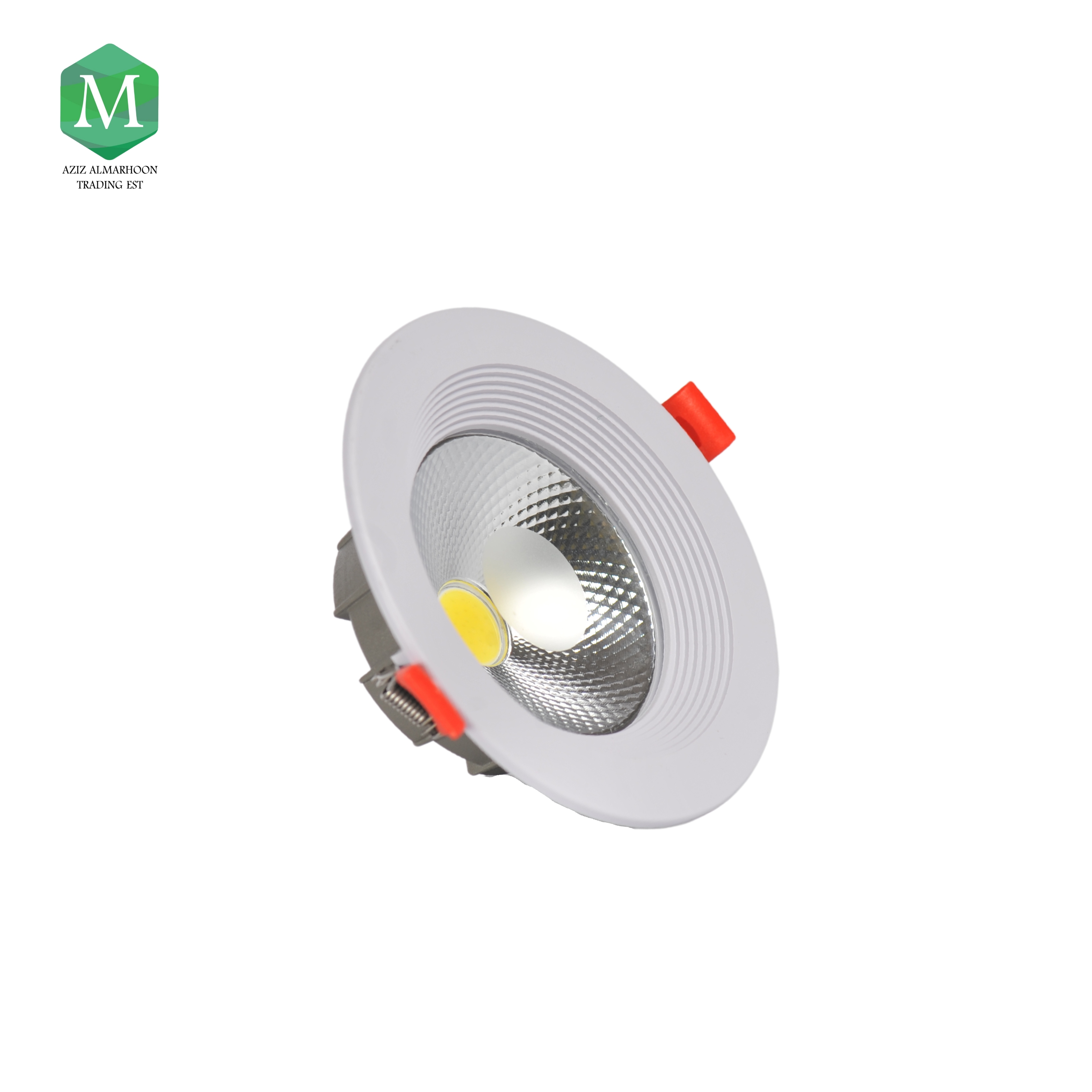 Spotlight 4 inch 10 watt white canopy