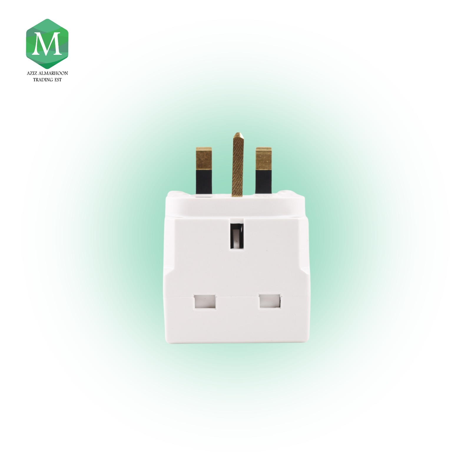 Multi-outlet fish