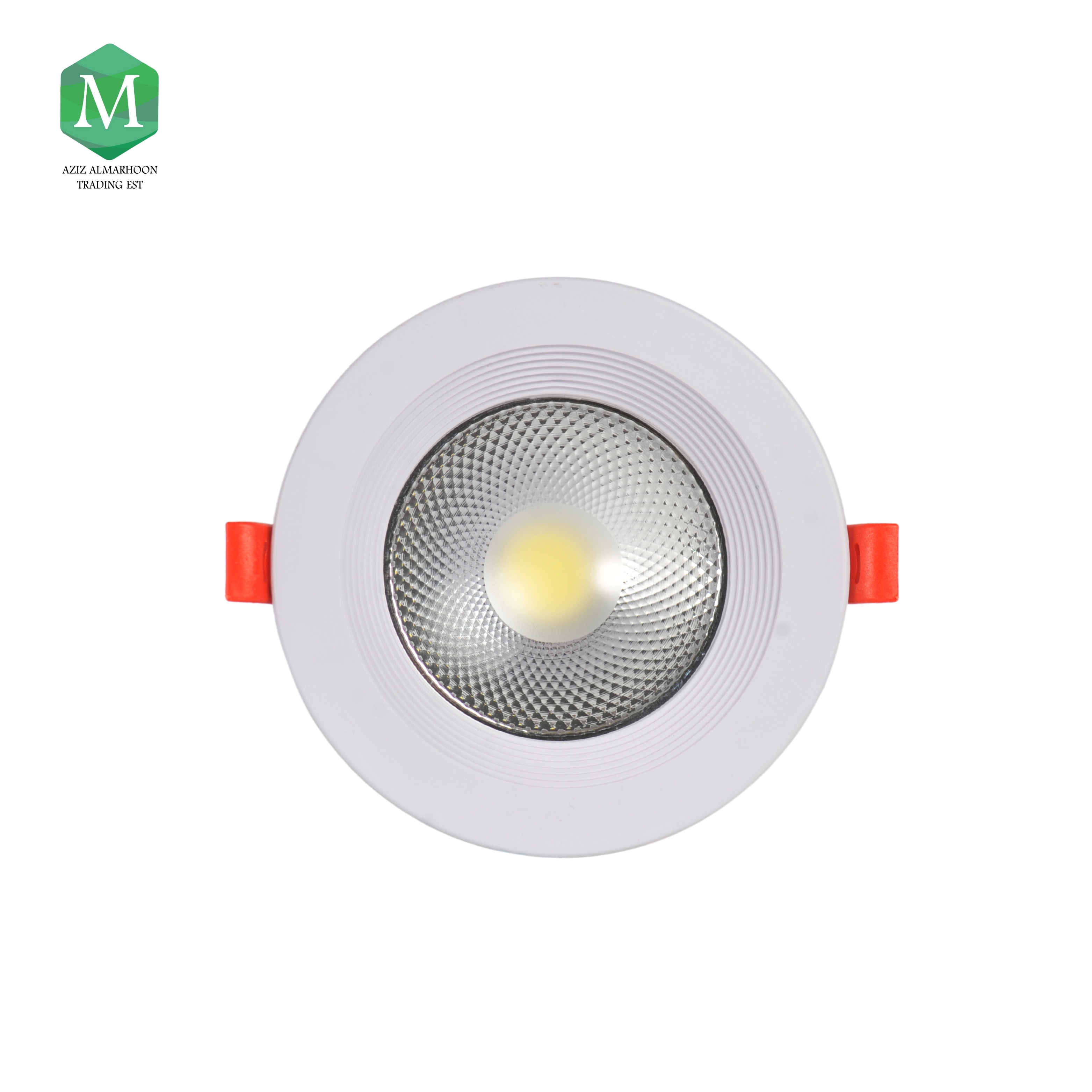 Spotlight 4 inch 10 watt white canopy