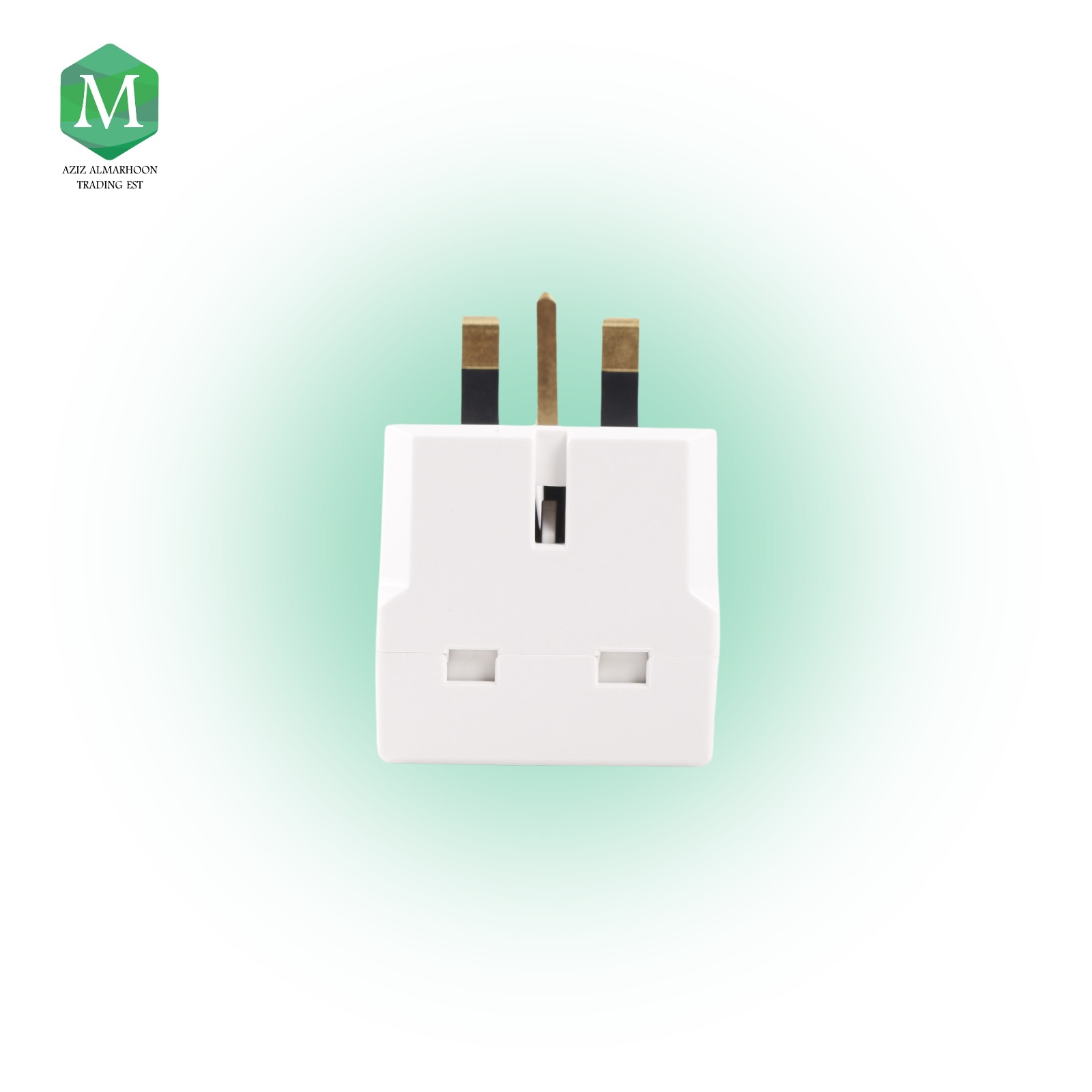 Multi-outlet fish