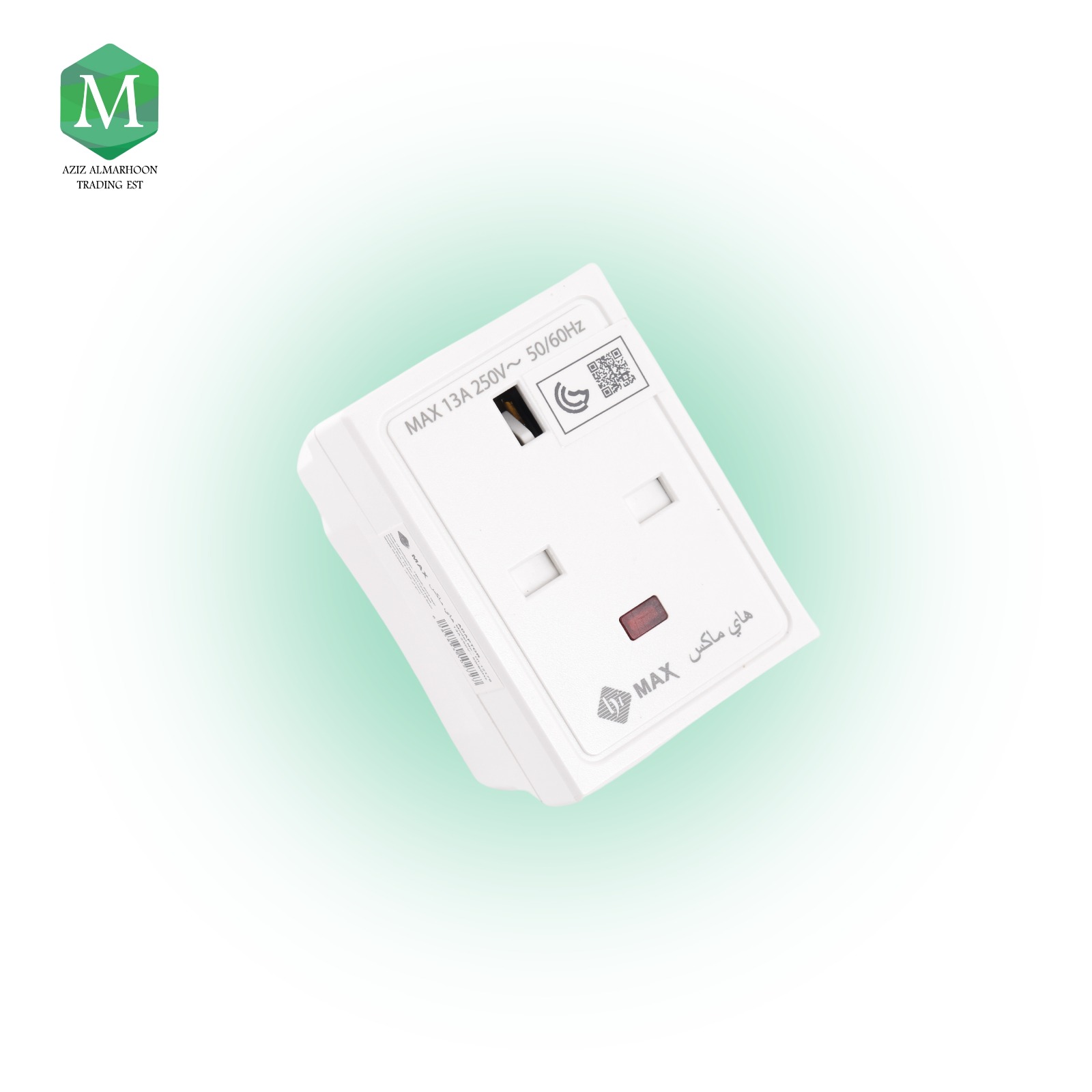Multi-outlet fish