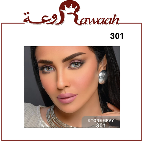 عدسات سندريلا ايز اليومية (  رمادي ) - 301