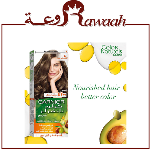 صبغة غارنيه اشقر رمادي غامق 61
