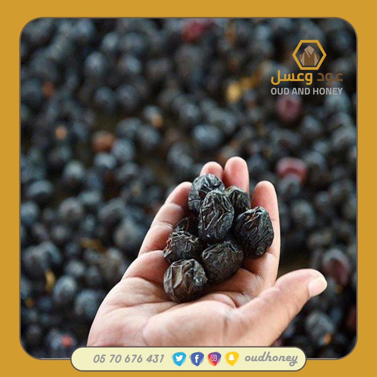 عجوة المدينة المباركة