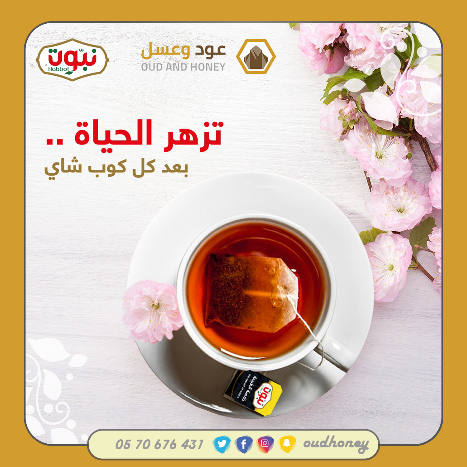 عرض شاي نبوت الأسود