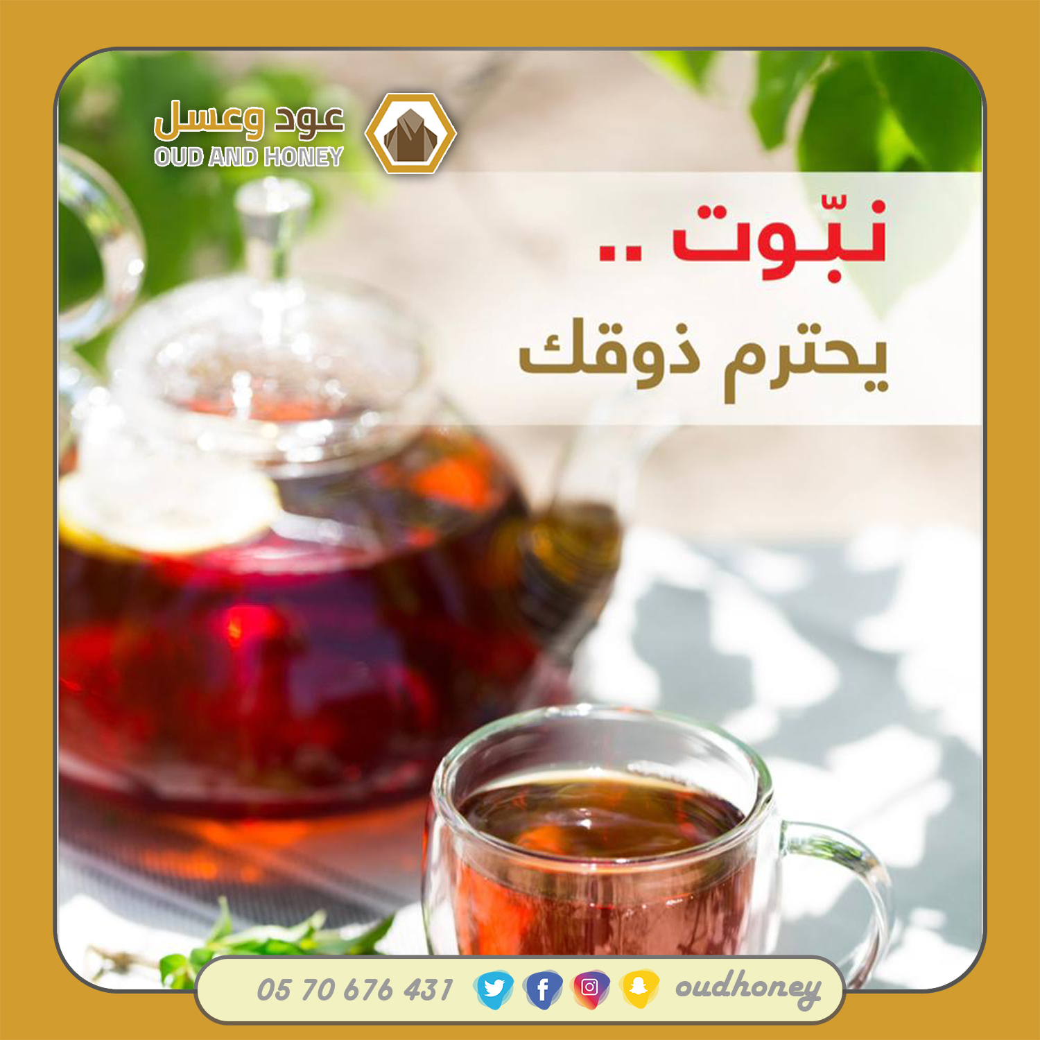 عرض شاي نبوت الأسود