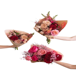اعتذار