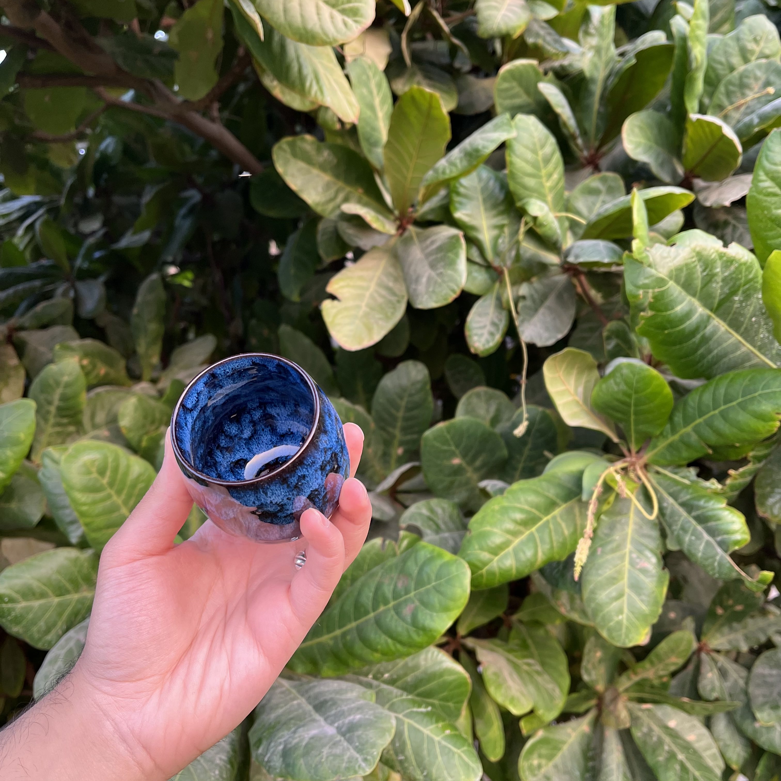 Elegant Cup Adds a Luxurious Touch to Coffee Rituals