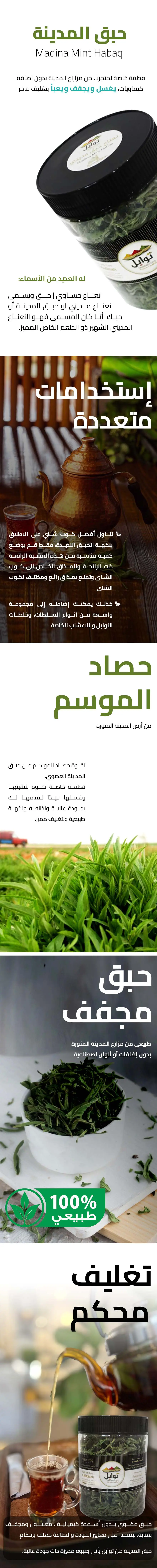 نعناع حبق المدينة - متجر توابل