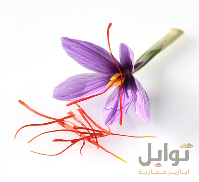 زايدوا نكهة وجباتكم مع زعفران سوبر نقيل فاخر - لون ذهبي