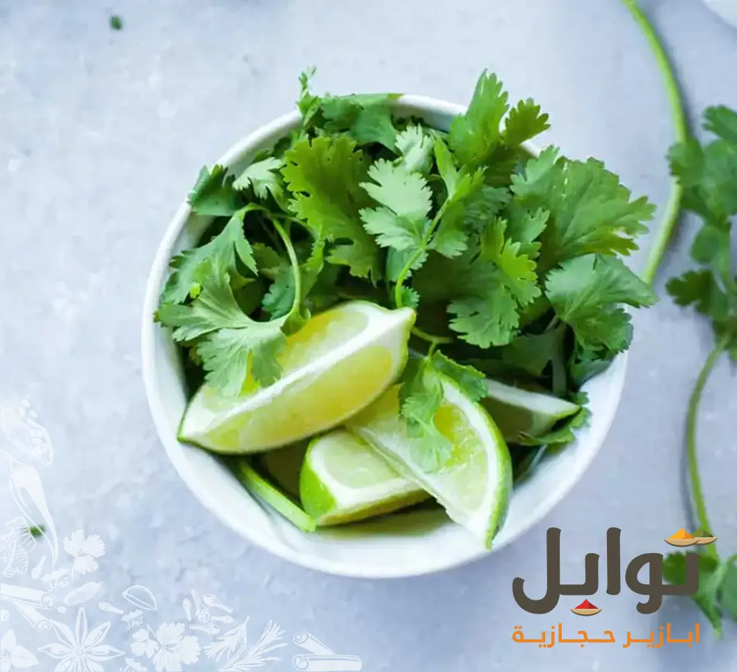 نكهة خالدة من المدينة المنورة: كزبرة خضراء مديني مجففة - جودة أصلية