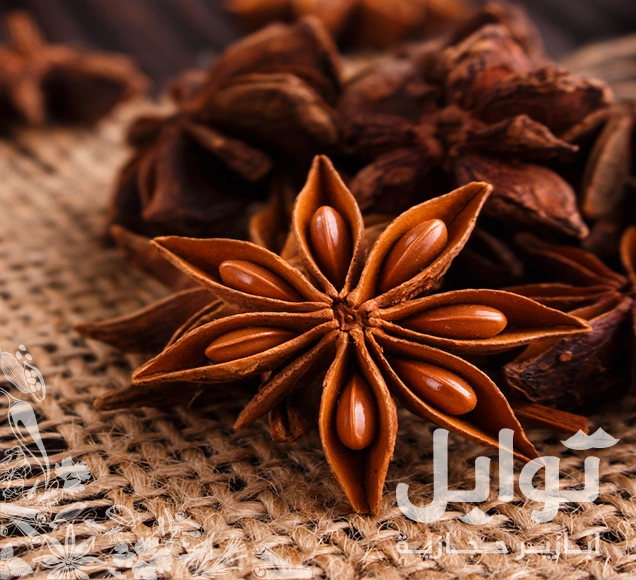 نجمة اليانسون - تجربة النكهة الفريدة لأطباقك المفضلة - طبيعي %100