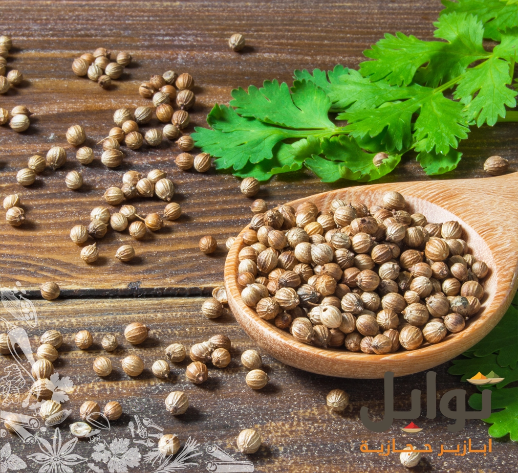 الإبداع في مطبخك يبدأ مع كزبرة حب ومطحونة سورية عالية الجودة - نكهة أصيلة