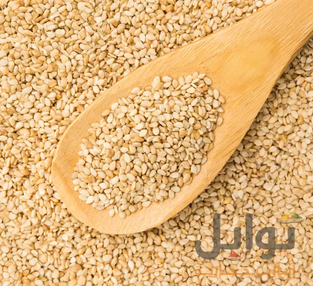 فول سوداني بالعسل والسمسم، لحظات ممتعة تبدأ من أول لقمة - طعم لا يُقاوم