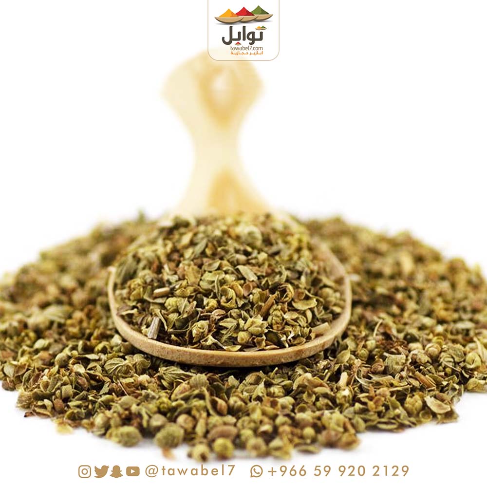 اوريغانو تركي مجروش | توابل