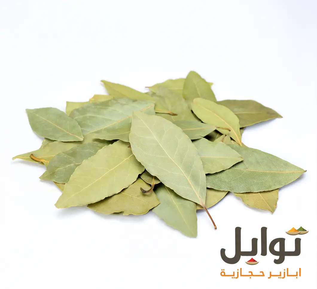 ورق الغار السوري الفاخر: نكهة طبيعية لا تُقاوم