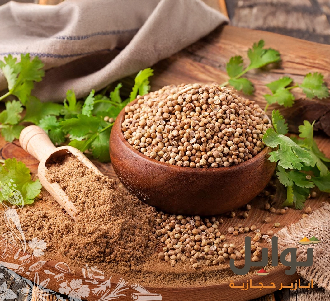الإبداع في مطبخك يبدأ مع كزبرة حب ومطحونة سورية عالية الجودة
