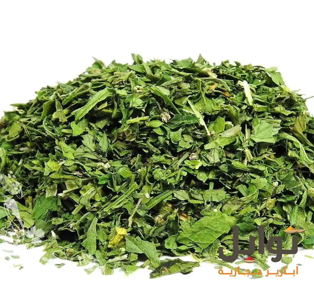 نكهة خالدة من المدينة المنورة: كزبرة خضراء مديني مجففة - نكهة غنية