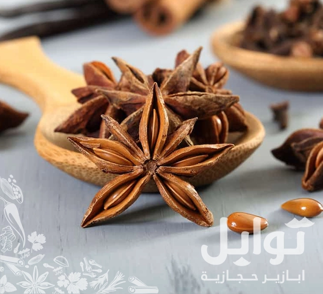 نجمة اليانسون - تجربة النكهة الفريدة لأطباقك المفضلة - استخدامات متنوعة