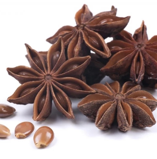 نجمة ينسون 