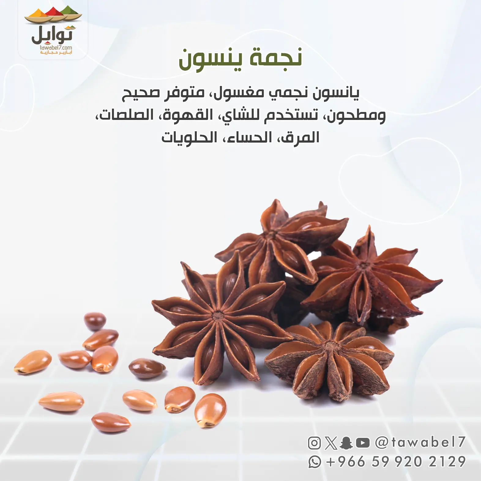 نجمة ينسون