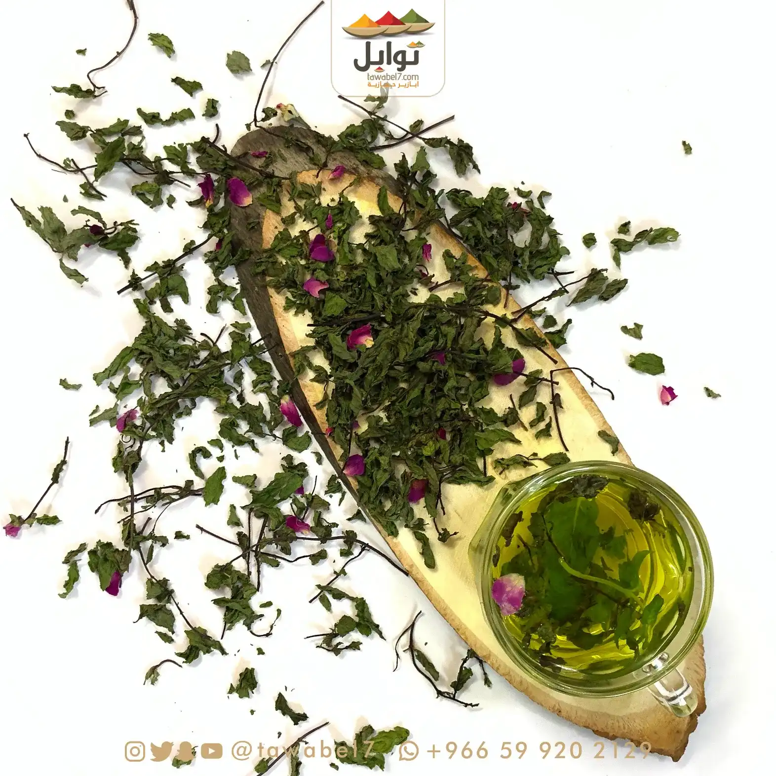 نعناع المدينة