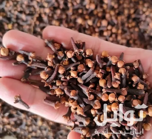 قرنفل إندونيسي فاخر - نكهة غنية وطبيعية
