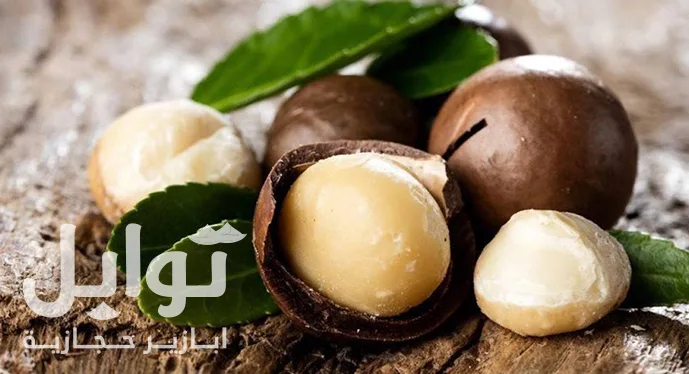 مكاديميا طازجة مقشرة وبالقشر على سطح خشبي طبيعي - جودة فائقة من توابل أبازير حجازية