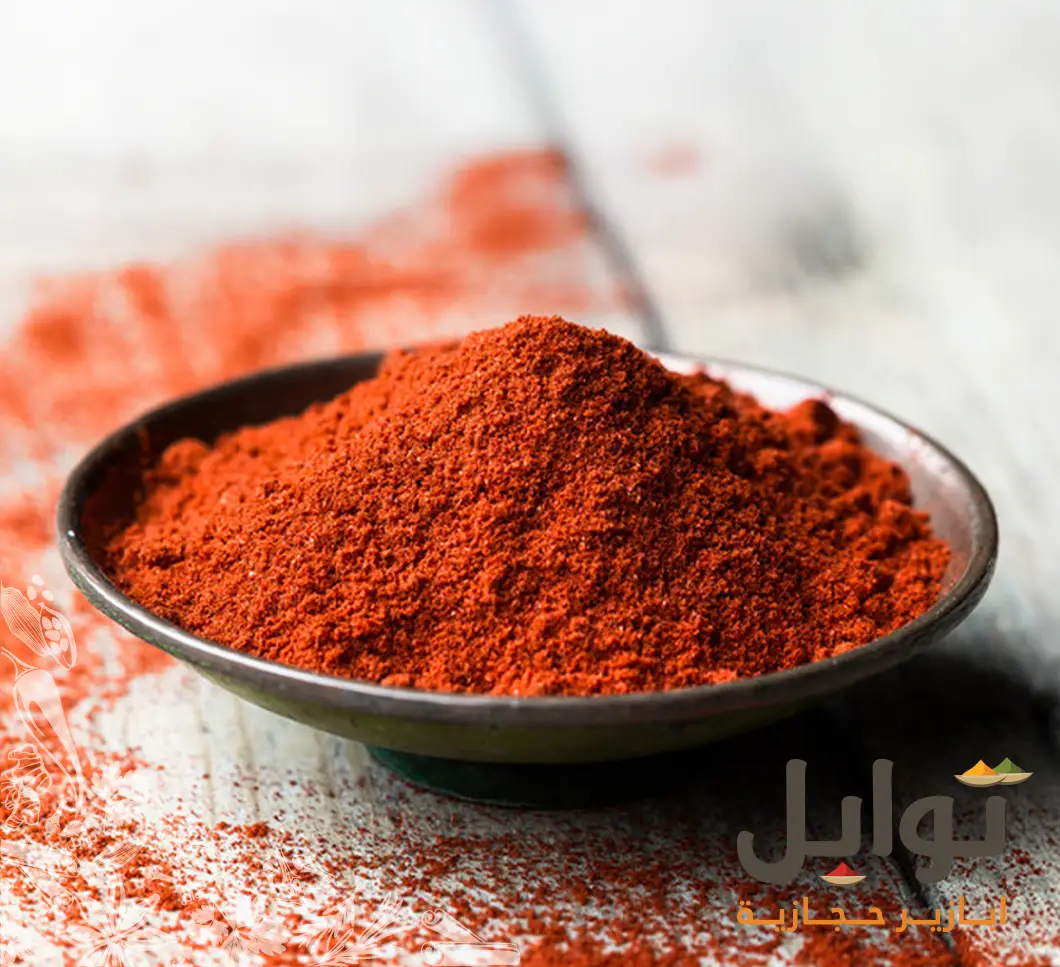نكتشف النكهة الأصيلة مع بودرة الكاتشب - جودة طبيعية