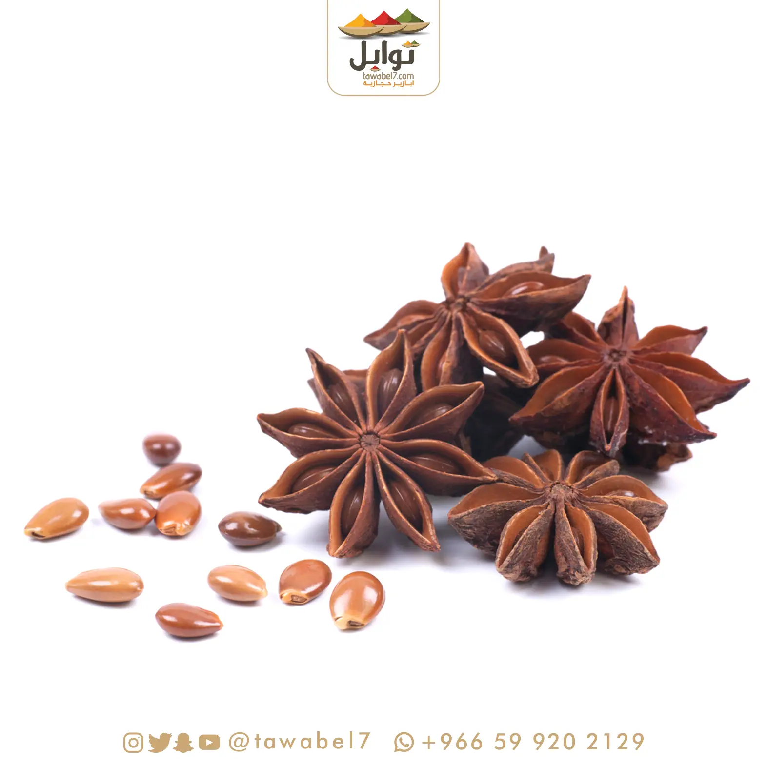 يانسون نجمي