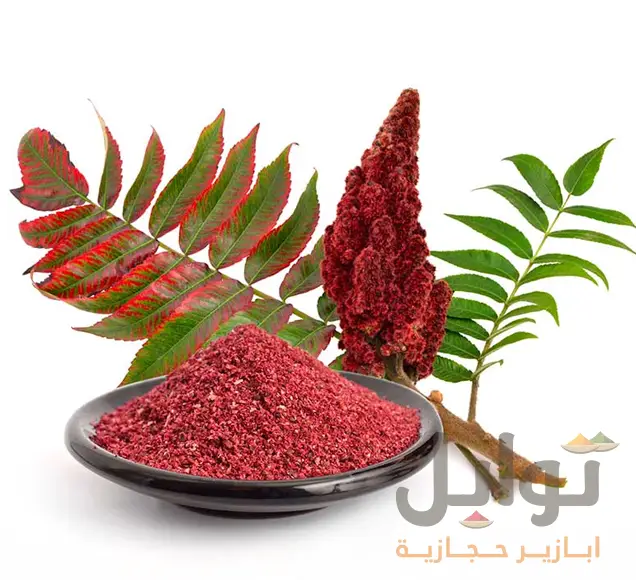 سماق أحمر مطحون فاخر - لمسة لونية مميزة