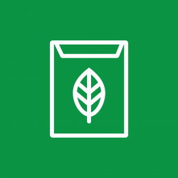 بذور