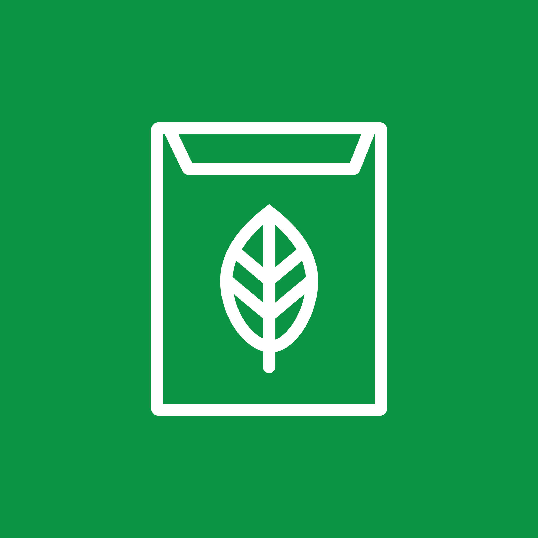بذور