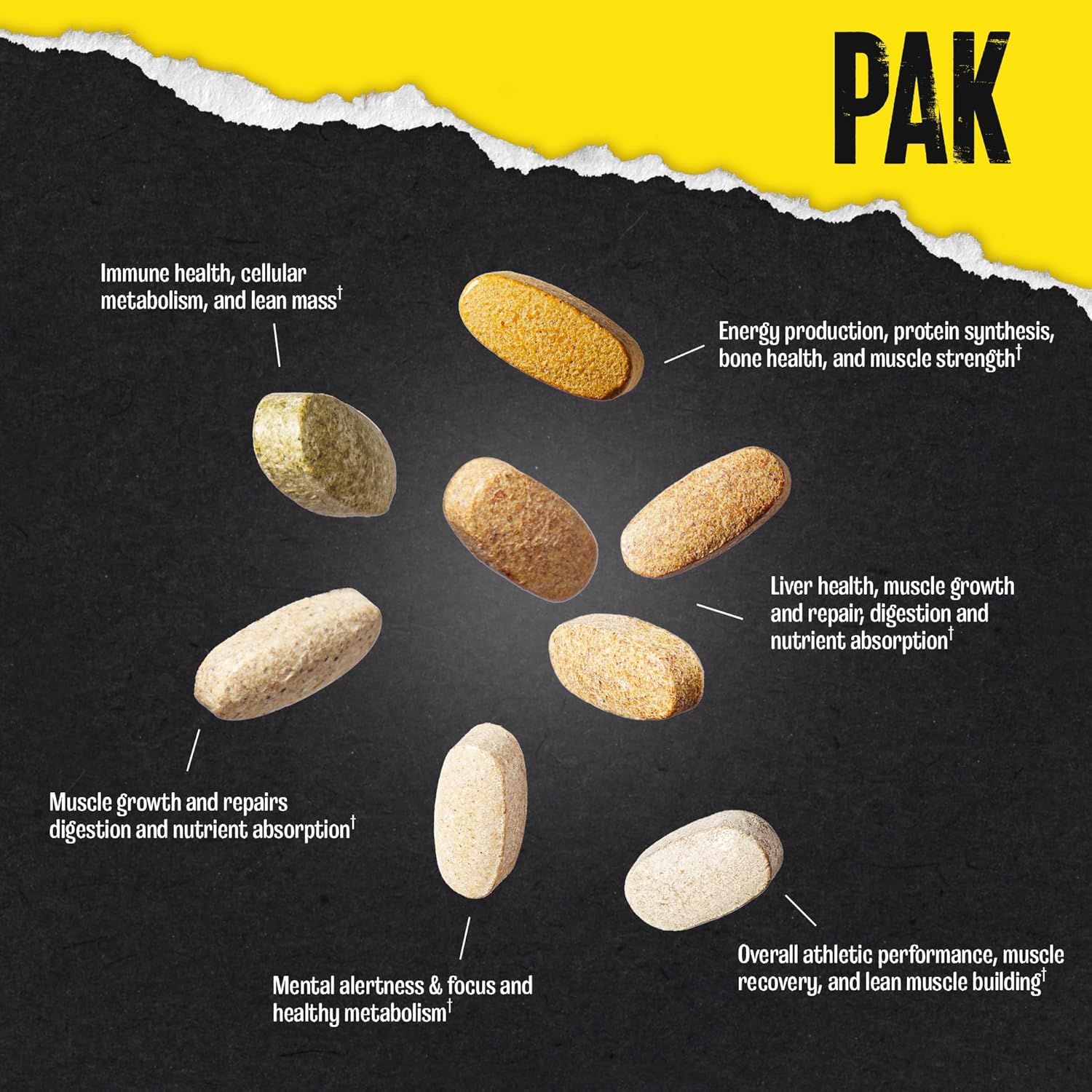  يونيفرسال نيوترشن - ألتيميت فونديشن أنيمال باك (30 حصة) - Universal Nutrition Animal PAK Ultimate Foundation 