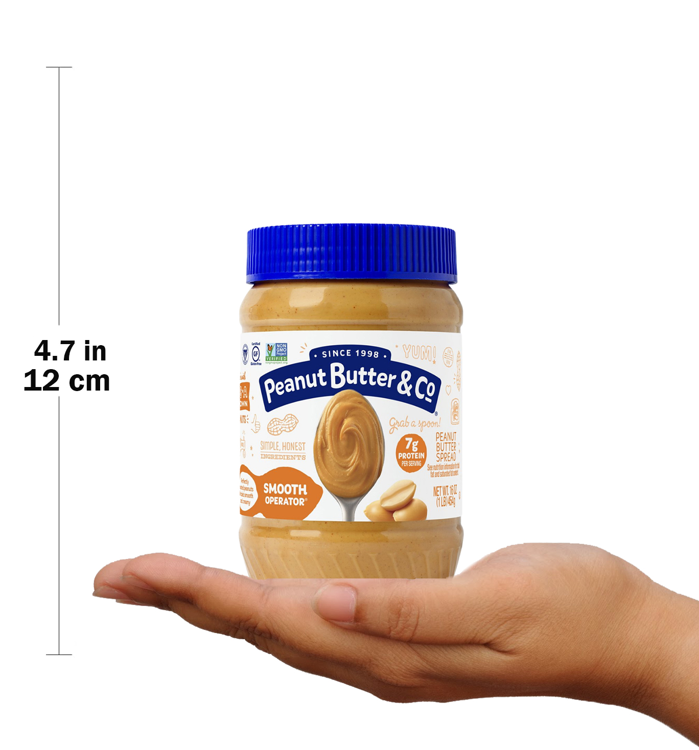  بينت بتر اند كو - زبدة فول سوداني قابلة للدهن (454 جم) - Peanut Butter & CO - Peanut Butter 