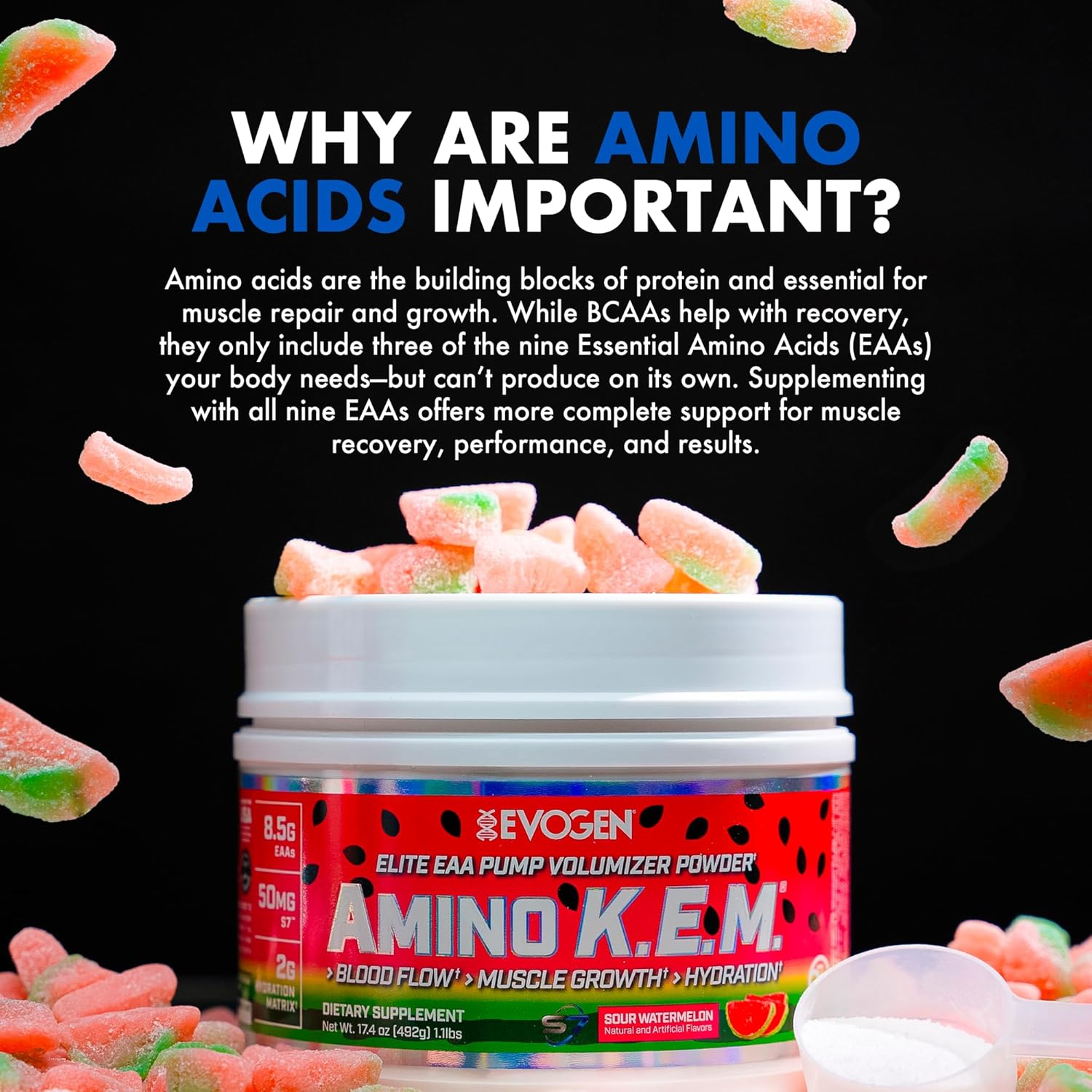  Evogen - Amino K.E.M. Essential Amino Acid (480g) 