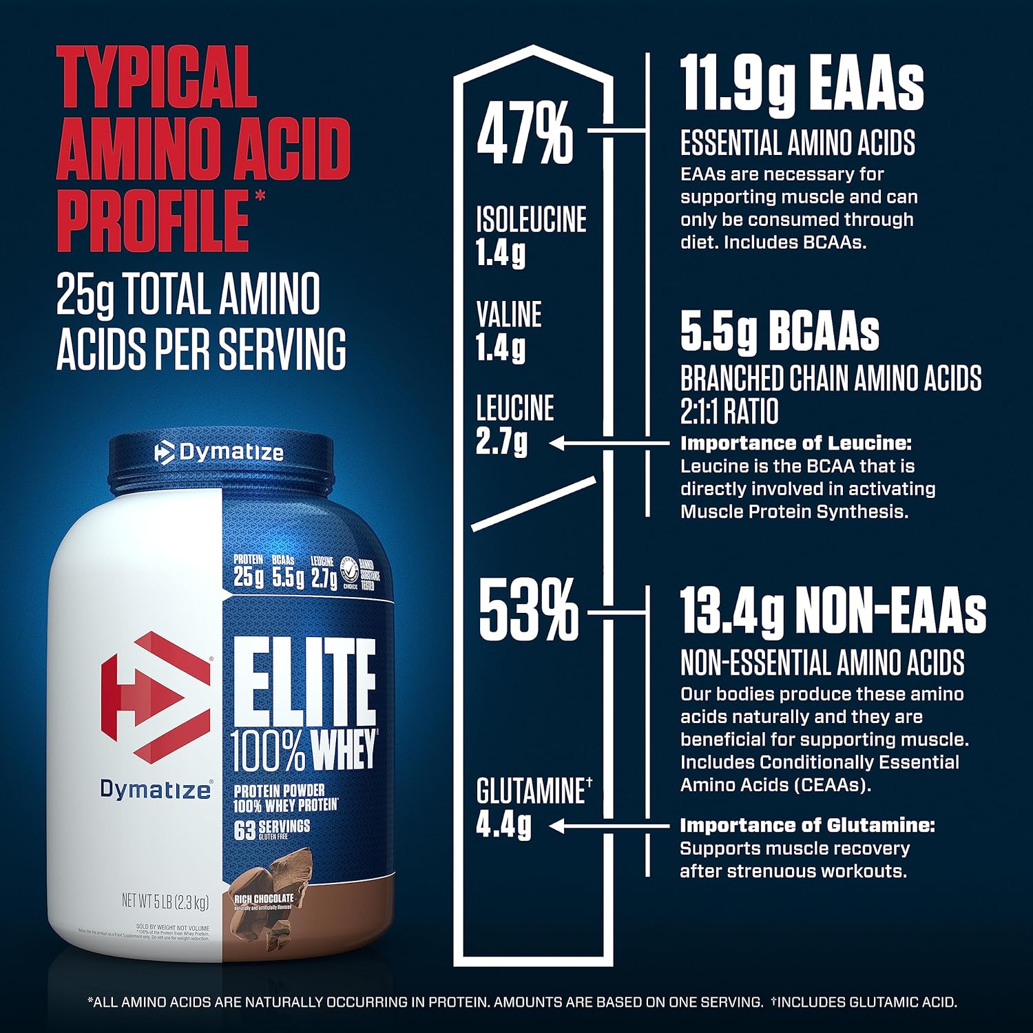  Dymatize - Elite 100% Whey Protein 