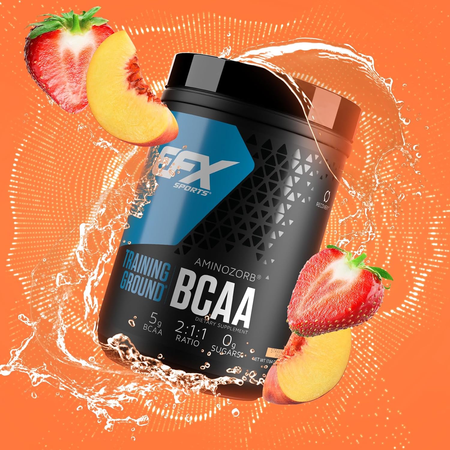  إي إف إكس سبورتس  ترايننق قراوند EFX Sports Training Ground BCAA 