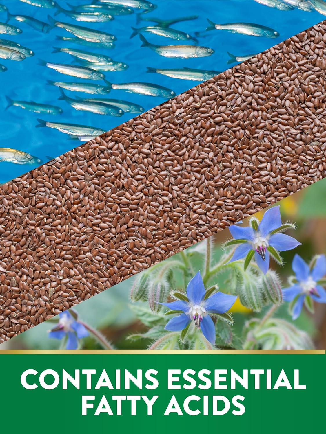  نيتشرز تروث - تريبل اوميجا 3-6-9 , 3600 مجم (200 كبسولة) - Nature's Truth Triple Omega 3-6-9 