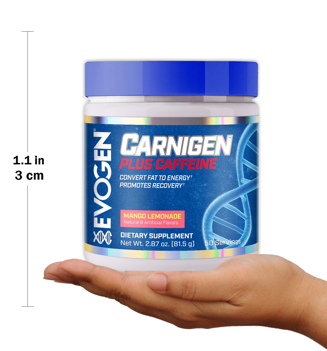 ايفوجين كارنيجن بلس كافيين، مسحوق كارنيتين لحرق الدهون (50 حصة) Evogen Carnigen Plus Caffeine 