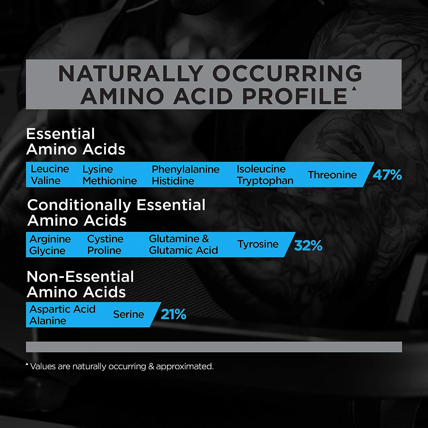  رول ون بروتين - ار 1 واي بروتين بليند 