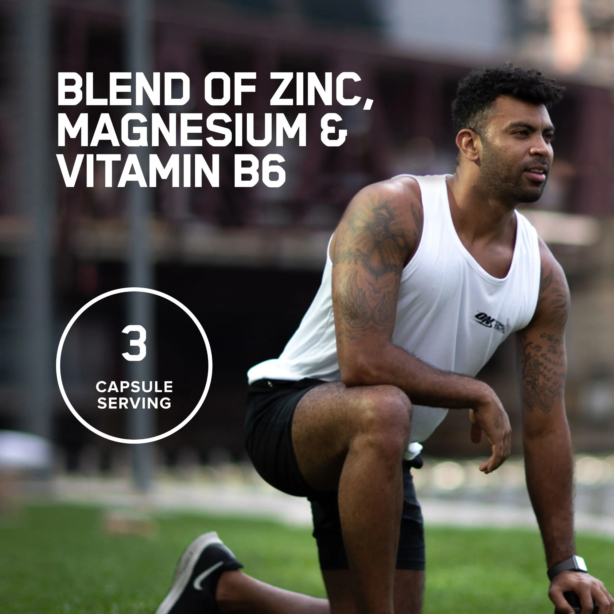  Optimum Nutrition - Zinc Magnesium Aspartate 