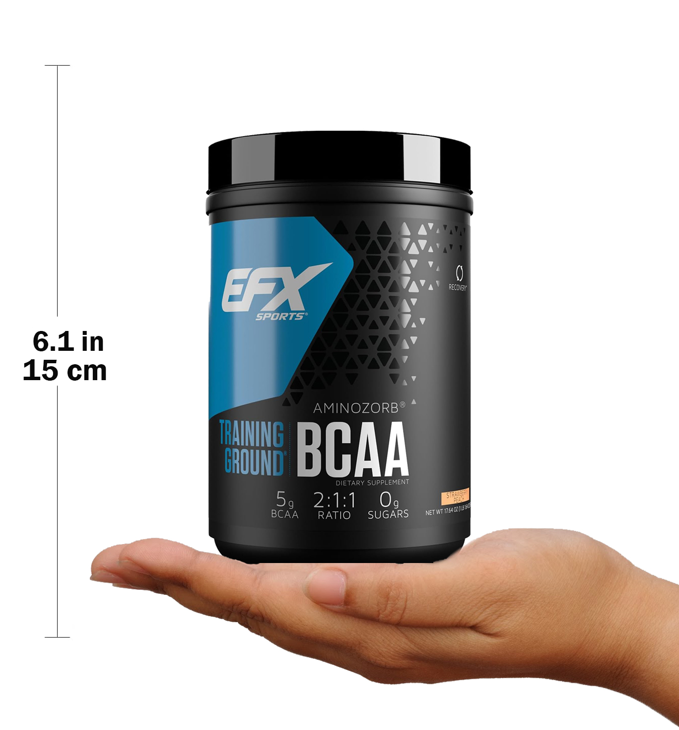  إي إف إكس سبورتس  ترايننق قراوند EFX Sports Training Ground BCAA 