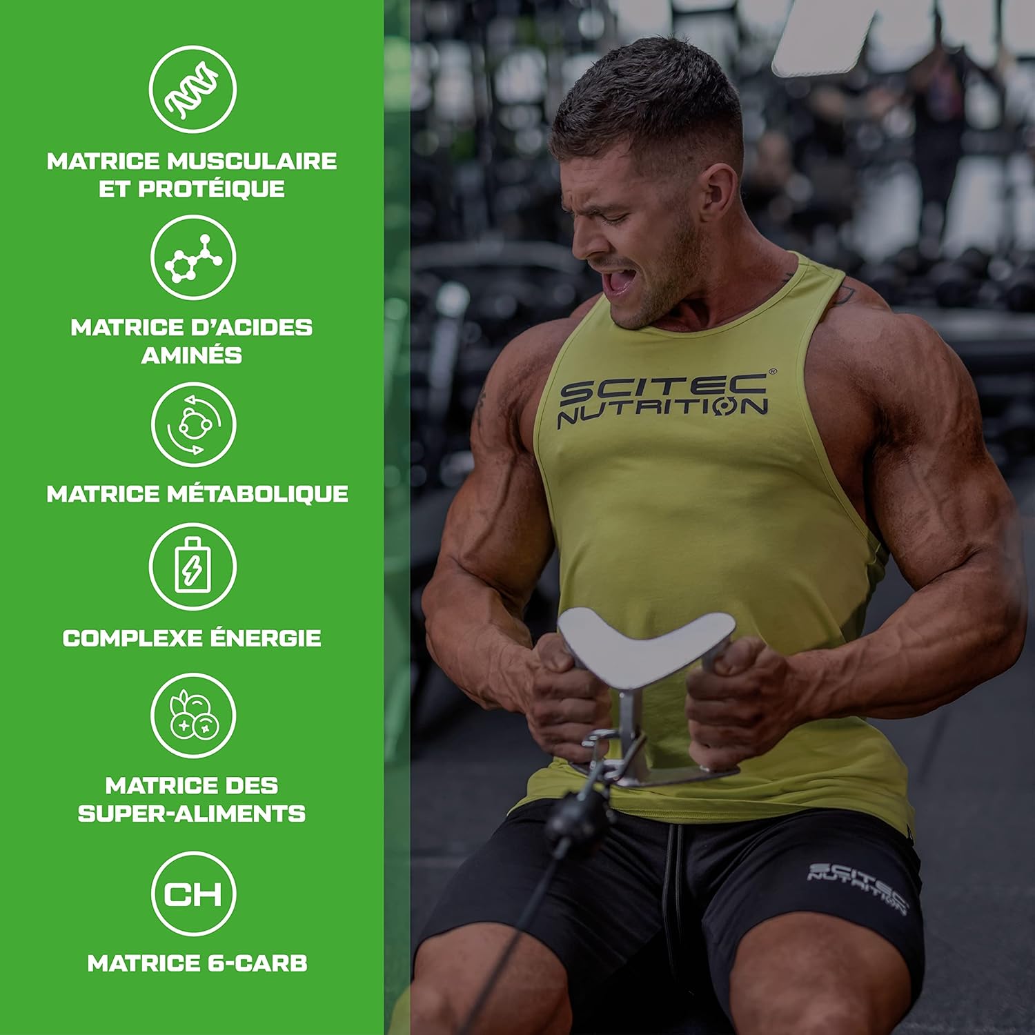  Scitec Nutrition - Jumbo Protein Drink Powder with Carbohydrates 