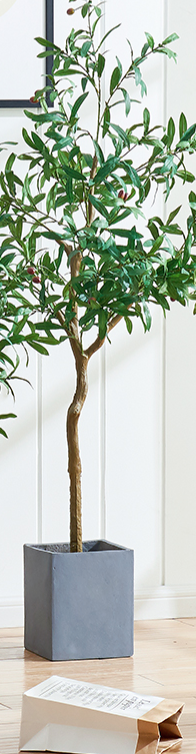  tree with pot  